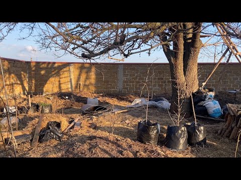 Видео: Почему мульча важнейший элемент пермакультуры