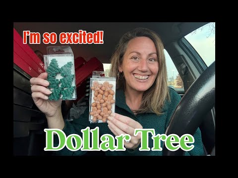 Видео: DOLLAR TREE HAUL | Обожаю этот магазин! Абсолютно новые товары по всему магазину