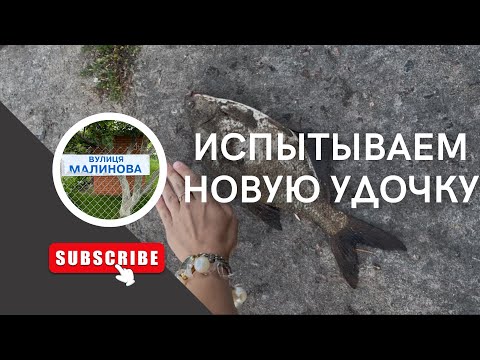 Видео: РЫБАЛКА В ГОРОДЕ НА МАРИНЕ/р.ДНЕПР/водохранилище