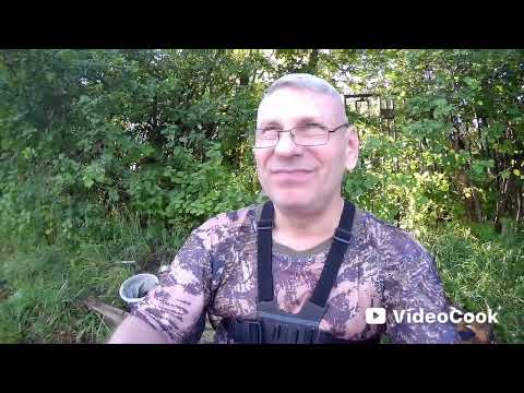 Видео: Рыбалка в середине июля!