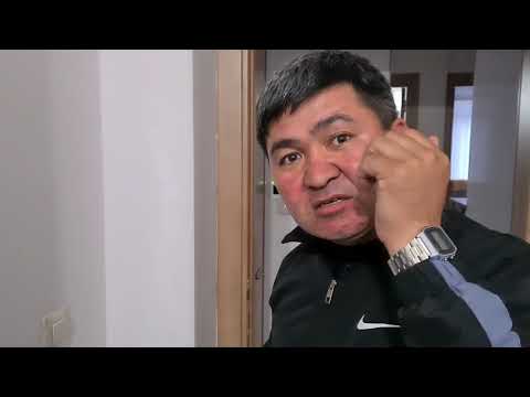 Видео: Магнит таратудың пайдалары қандай ?