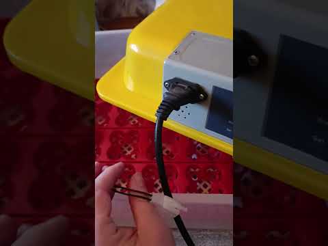 Видео: инкубатор WQ—24.                  плюсы и минусы