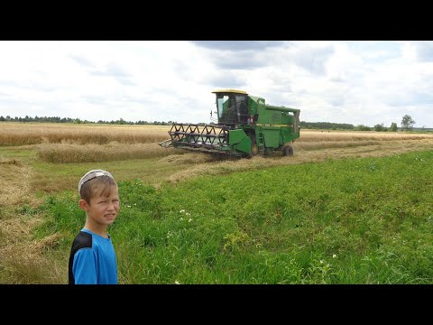 Видео: John Deere 1055 уборка пшениці