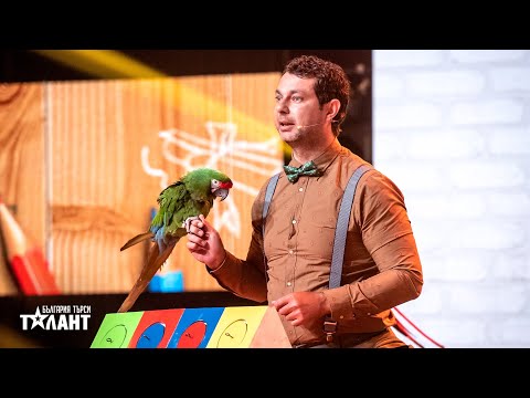 Видео: Калоян Явашев | Полуфинал | България търси талант 2021