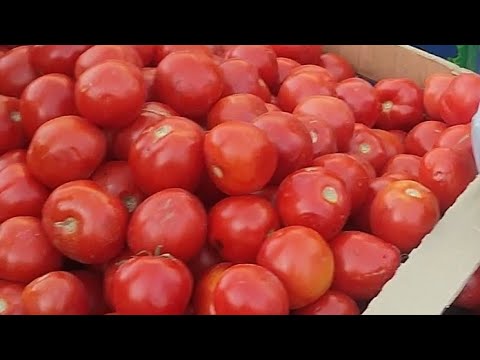 Видео: Зелёный Базар 7 утра вторник🥒🍅🥦🫐🌽🍆🍇🌶️🍓