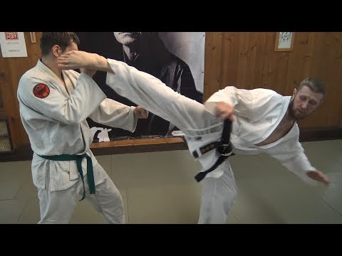 Видео: Круговые Техники в Единоборствах. Будо-Академия в Московском Кодокане