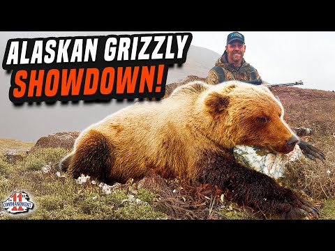 Видео: «Великолепная охота на Аляске — гигантский лось, большая страна и схватка с гризли»