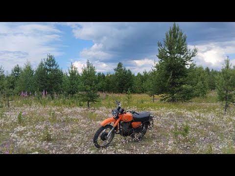 Видео: Хотел проверить мотоцикл #минск на бездорожье, но где-то просчитался...