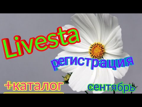 Видео: 💁Новинки даром!!!!Акции/Скидки -43%#livesta 