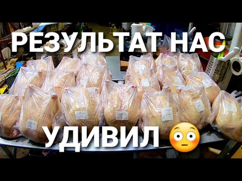 Видео: 🟡Чем кормить бройлеров? / ПК-1 ИЛИ ПК-6⁉️