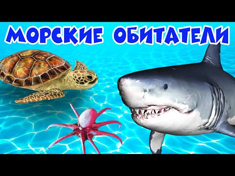 Видео: Обитатели морей и океанов 🐠 Развивающие мультики 🐟 Морские животные 🐬 Подводный мир