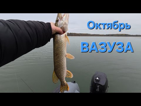 Видео: Октябрь Вазуза Осень 2025