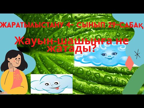 Видео: Жауын - шашынға  не  жатады?Жаратылыстану  4 cынып. 29-сабақ