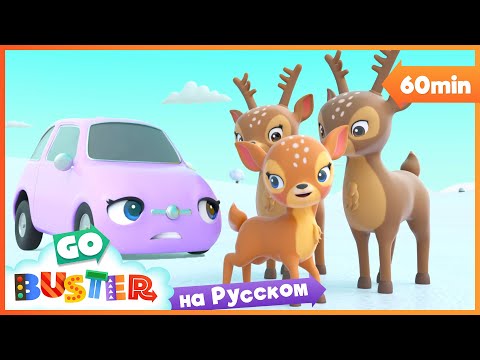 Видео: Бастер и потерянный малыш-олененок | 60 минут | Мультики про машинки Автобус Бастер | Детские Песни