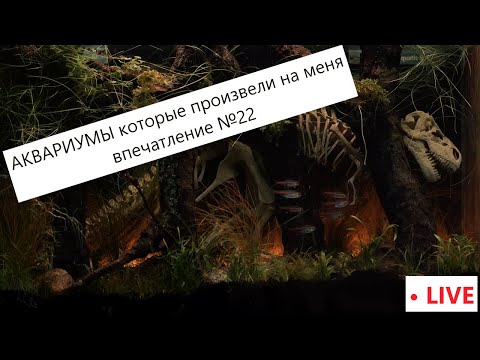 Видео: Аквариумы которые произвели  на меня впечатление №22 (Южная Америка, Динозавры, Травники)