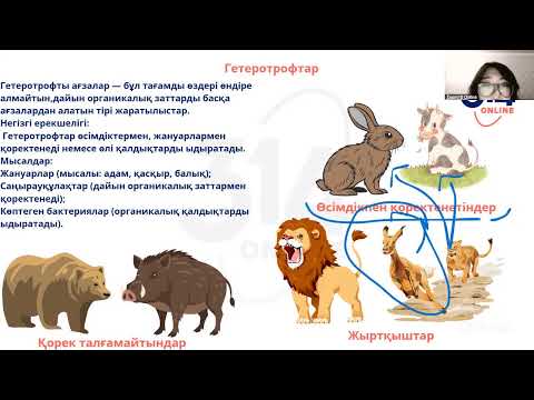 Видео: 1поток 5к