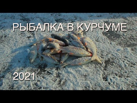 Видео: Зимняя рыбалка в Курчуме, первый лед. Провалилась машина