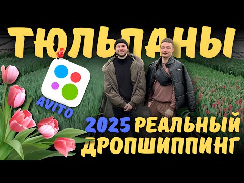 Видео: Продажа тюльпанов на Авито 2025 год. Дропшиппинг VAVILON. Полный бесплатный курс.