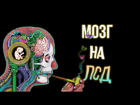 Видео: ПСИХОДЕЛИКИ ч.1 [Феномены и сущности]