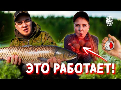 Видео: РЫБАЛКА на хуторе | каждые 30 МИНУТ поклевки | СЕКРЕТНАЯ снасть | СПАТЬ было НЕКОГДА!!!!