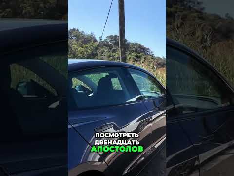 Видео: Полиция снова остановила! Где они прячутся? 👮‍♀️ #shorts