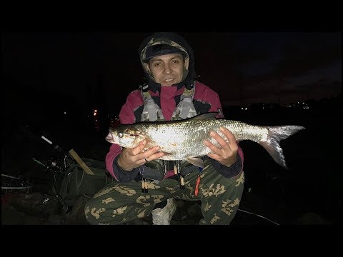 Видео: Рыбалка, мужской отдых на реке Эльбе, город Гамбург.  Удалось взять жереха на воблер от yo zuri.