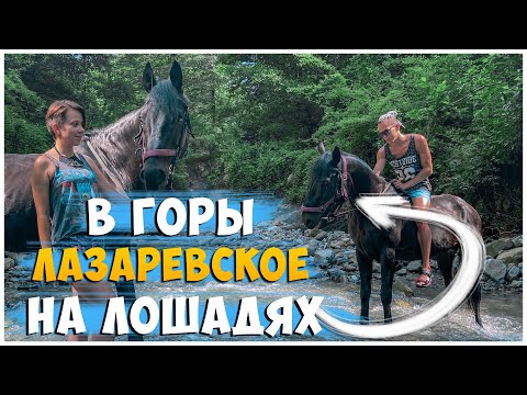 Видео: КОННАЯ ПРОГУЛКА В ГОРЫ / ЛАЗАРЕВСКОЕ