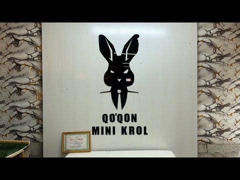 Видео: QO’QONDA REKS QUYONLAR TO’PLAMI QO’QON MINI KROLL #quyonboqish #quyon #декоративныекролики #rqo’qon