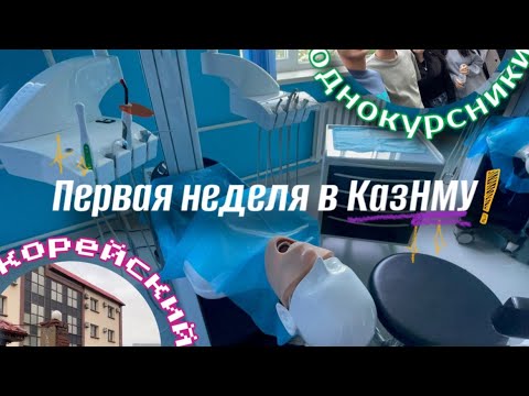 Видео: ПЕРВАЯ НЕДЕЛЯ В КазНМУ//УЧУ КОРЕЙСКИЙ ЯЗЫК // ПЕРВАЯ ВСТРЕЧА С ОДНОКУРСНИКАМИ // VLOG