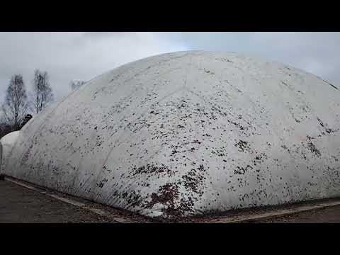 Видео: Алко - закрыто, зато рыбы-корыто! 