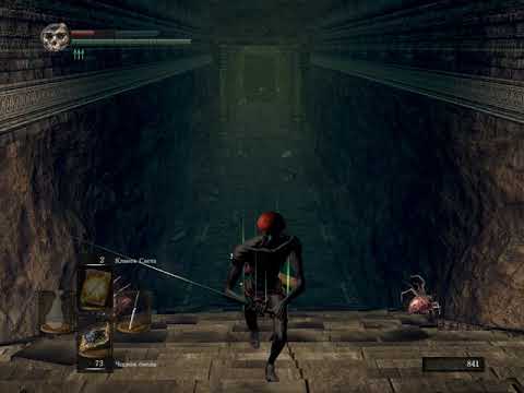 Видео: Прохождение Dark Souls.  Boss: The Bed of Chaos [#23] (NO DAMAGE!)