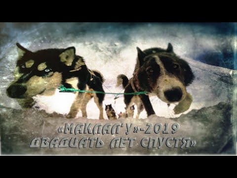Видео: Камчатка. Гонка на собачьих упряжках. Маклал’у 20 лет спустя.