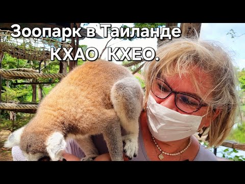 Видео: Зоопарк в Таиланде КХАО КХЕО.