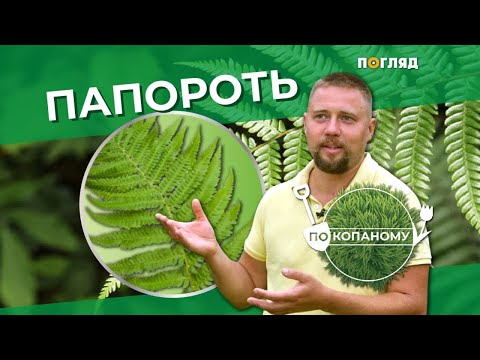Видео: Папороть | По копаному | Другий сезон |