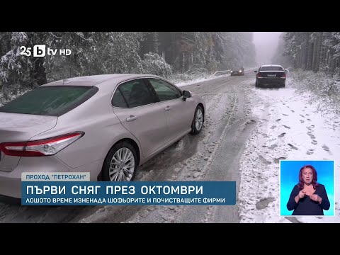 Видео: Сняг вали на Петрохан, ниска е видимостта, има опасност от паднали дървета