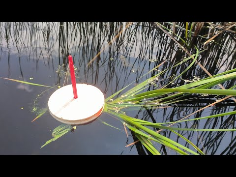 Видео: Рыбалка на кружки перед грозой.