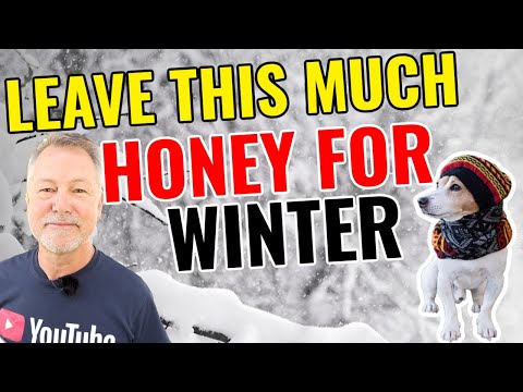 Видео: Пчеловодство | Как решить, сколько мёда оставить на зиму