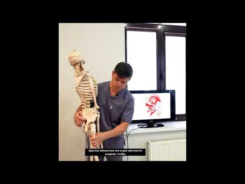 Видео: Здоровье женского и мужского таза зависит от этих мышц