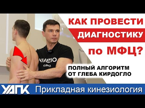 Видео: Диагностика Миофасциальных цепей (Глеб Кирдогло)