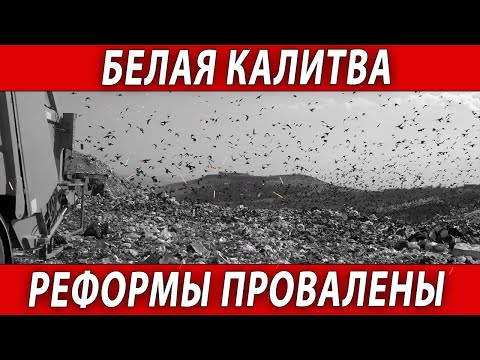 Видео: Белая Калитва Реформы провалены | Журналистские расследования Евгения Михайлова