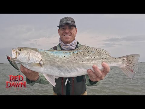 Видео: Почему я люблю рыбалку в пасмурные дни