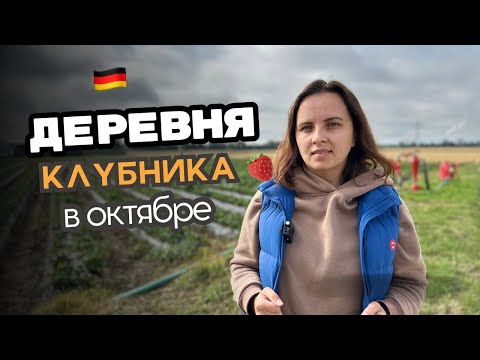 Видео: Как живут в немецкой деревне / Жизнь в деревнях /  Работа на полях / Сбор клубники 🍓