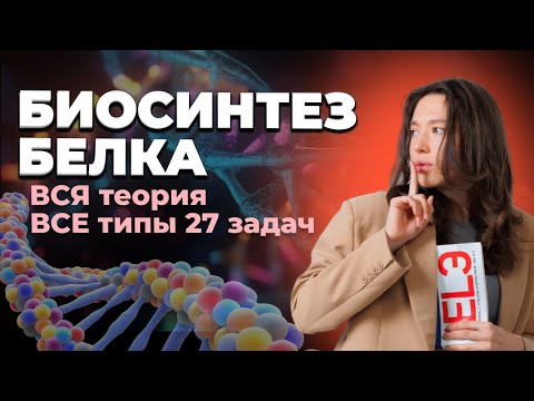Видео: ВСЯ теория и ВСЕ типы 27 задач на биосинтез белка | ЕГЭ по Биологии