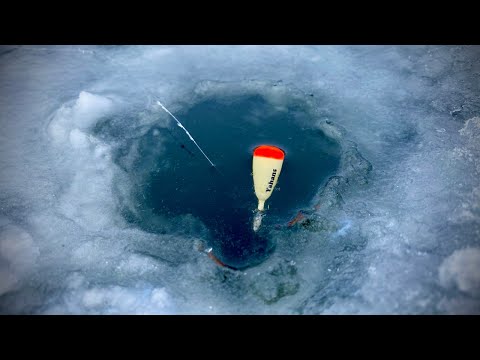 Видео: КАБАНЮКИ КАРПИ не ВЛАЗЯТЬ в ЛУНКУ! РОЗРУБУЮ! Така РИБАЛКА РАЗ У ЖИТТІ!