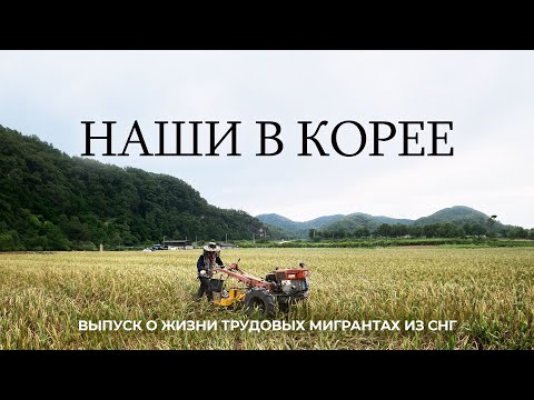 Видео: Южная Корея, как живут трудовые мигранты? Сколько зарабатывают?