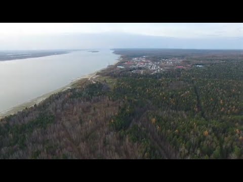 Видео: п. Андра (Мостотряд)