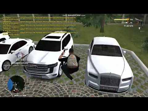 Видео: вот еще вовчик