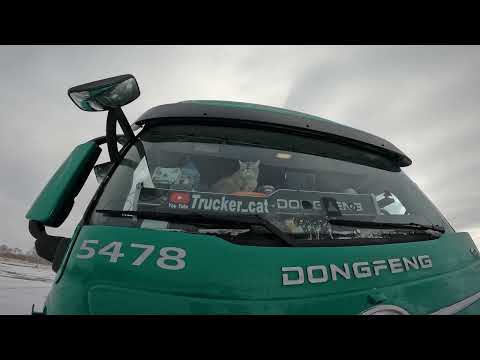 Видео: один день с нами