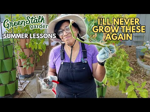 Видео: Чему меня научили мои GREENSTALKS этим ЛЕТОМ (чтобы вам не пришлось учиться на горьком опыте!)