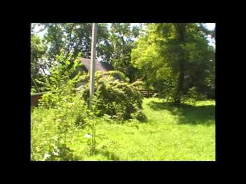 Видео: Стара Гута, Новоушицький р-н.